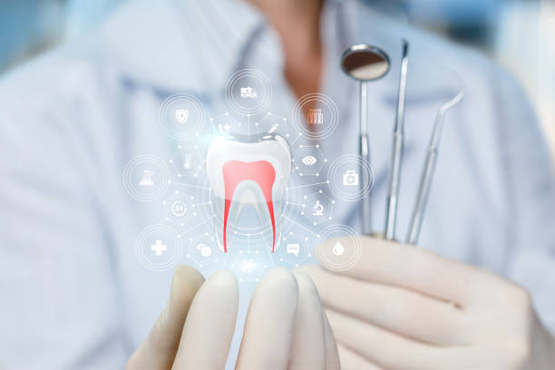 Professional  Holistic Dental Services in Onsted, MI